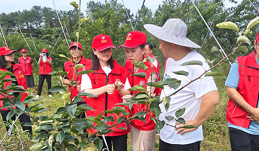 北碚区开展“惠民兴县·科技助农”志愿服务活动