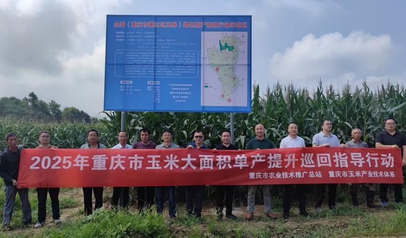我市开展2025年玉米生产形势会商暨技术培训