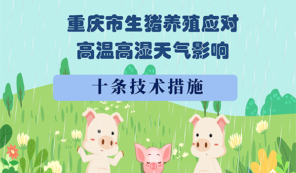 重庆市生猪养殖应对高温高湿天气影响十条技术措施