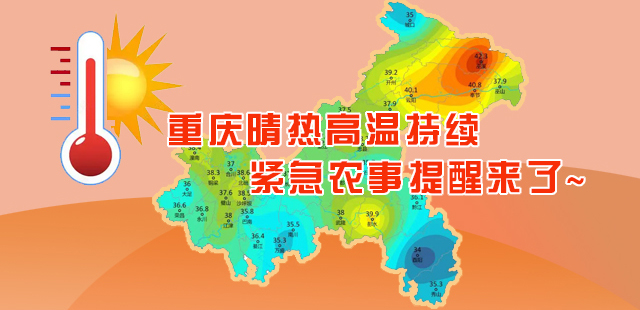 部分地区可达40至43℃！重庆晴热高温持续，紧急农事提醒来了