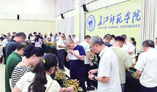 90种龙眼现场PK！重庆这场品鉴会甜度爆表