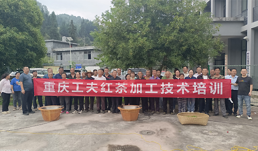 重庆市第六批专家服务团贺鼎团队赴黔江中塘镇开展茶叶技术培训 赋能茶产业提质升级