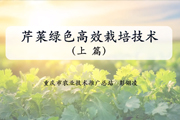 芹菜绿色高效栽培技术（上篇）