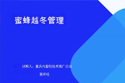 蜜蜂越冬管理