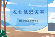 农业低温灾害