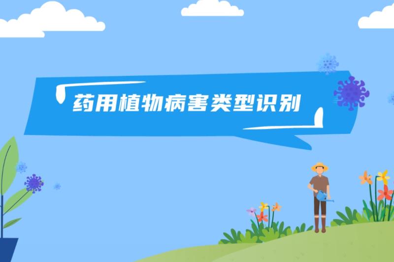 药用植物病害类型识别