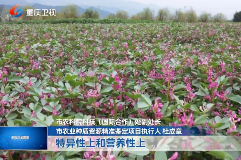 奋力谱写中国式现代化重庆篇章 “十四五” · 答卷 · 我市发布“十四五”农作物种质创新十大成果