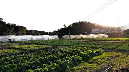 图3 中国科学院亚热带农业生态研究所种养循环示范基地